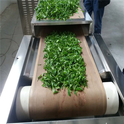 贵州明前茶杀青机就用隧道式微波杀青设备 绿茶杀青机 春茶杀青机