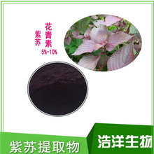 紫苏叶提取物10:1 苏叶粉 植物香紫苏 香紫苏醇95%
