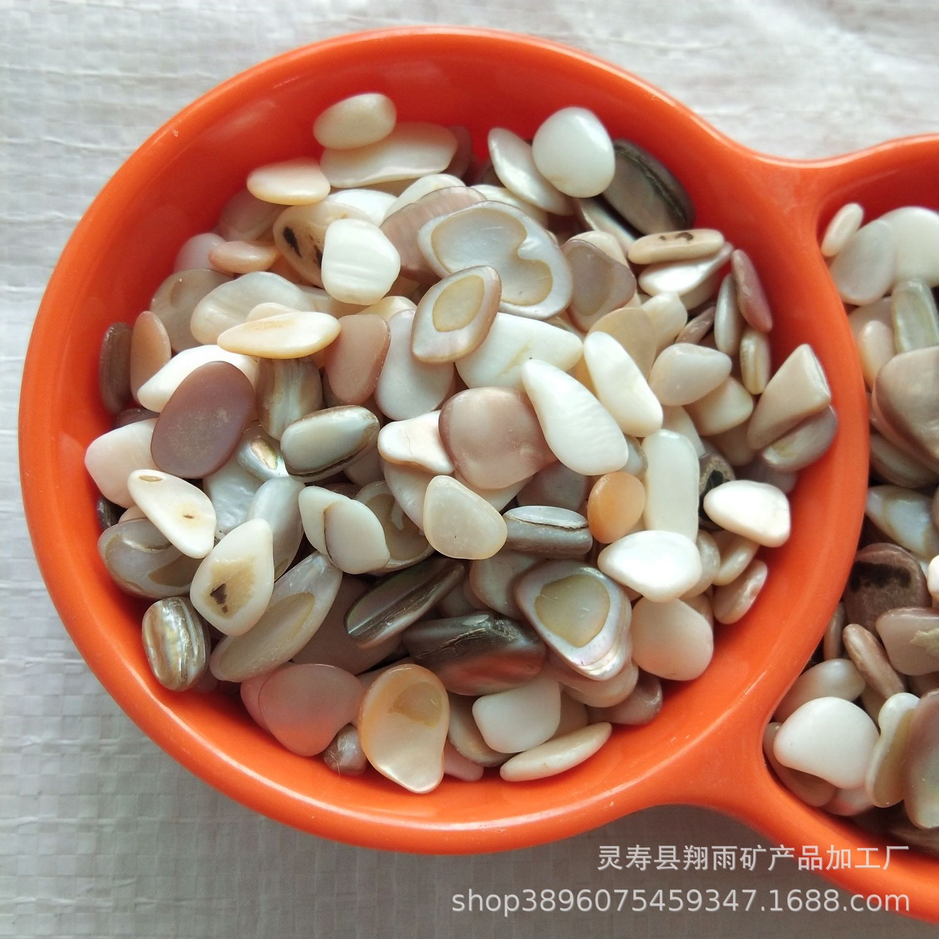 自然贝壳片贝壳颗粒美甲鲍鱼贝壳碎片耳坠吊坠配饰材料