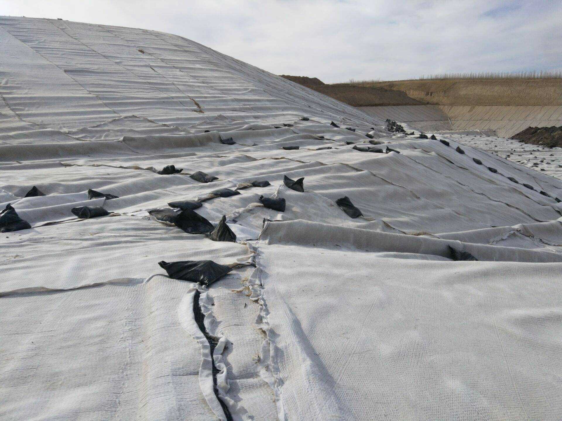 三维复合排水网 6mm 7mm厂家 生活垃圾填埋场复合土工排水网价格