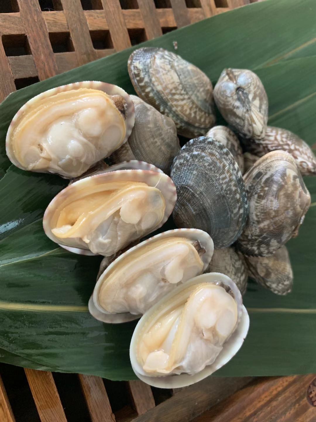 鲜嫩东港特产花甲肉海瓜子花蛤肉沙蚬子肉杂色蛤肉出口内销