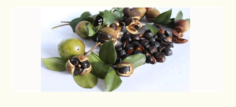 山茶花籽油 山茶花油 化妆品级别 护肤护发茶花籽油 手工皂原料