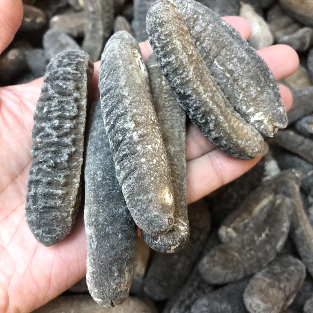 批发渠道深海天然野生海参 非洲明秃参 秃参 纯淡干海参干贷