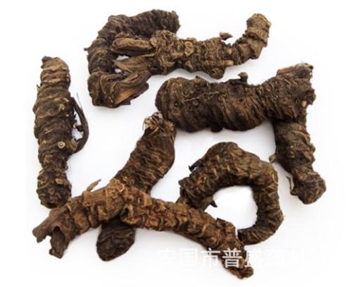 批发蜘蛛香粉九里香粗粉300目