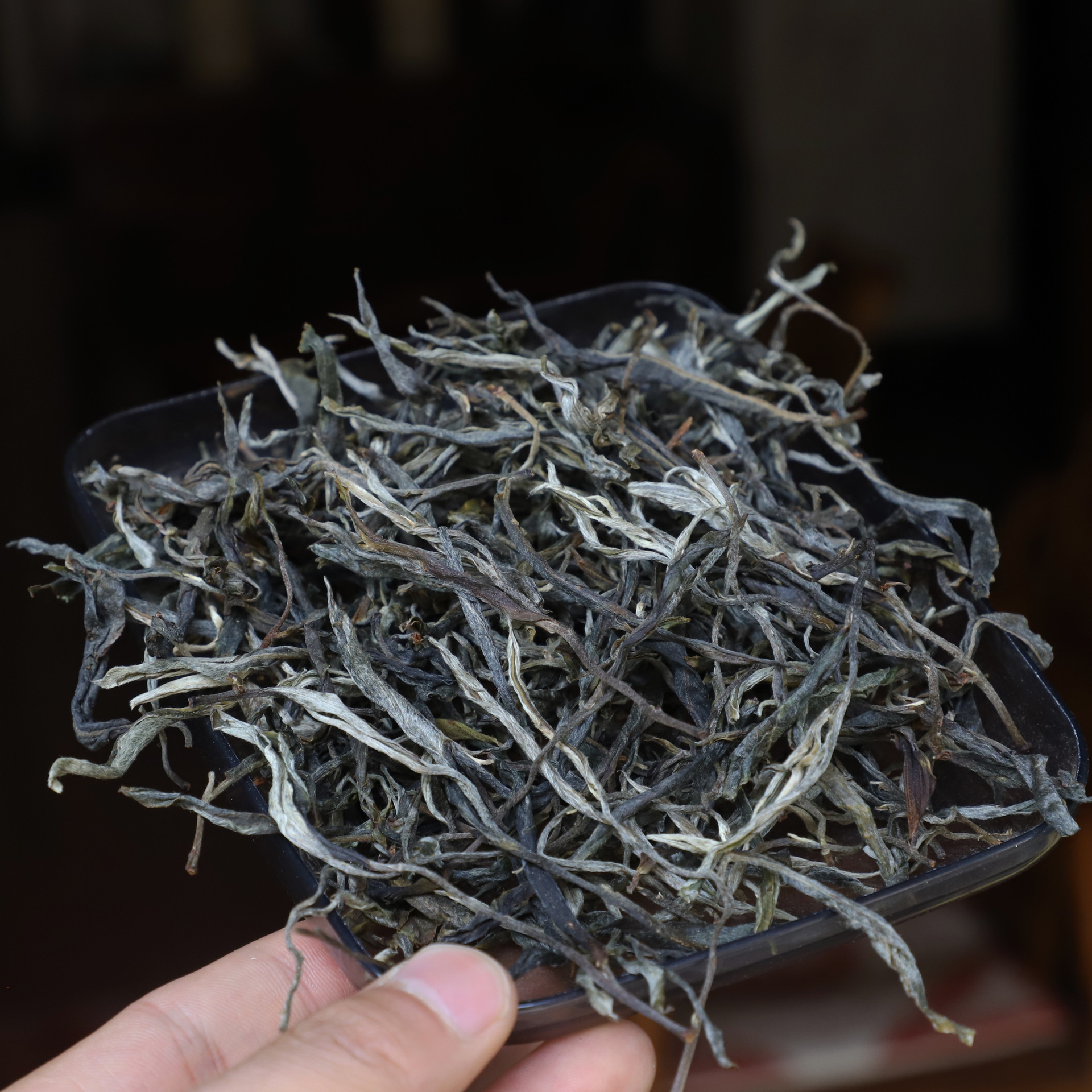 云南普洱茶叶 古树散茶 2019年易武薄荷塘古树头春 生茶散装生茶