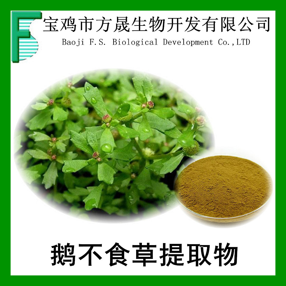 鹅不食草提取物101鹅不食草粉鸡肠草食胡荽鹅不食提取物厂家