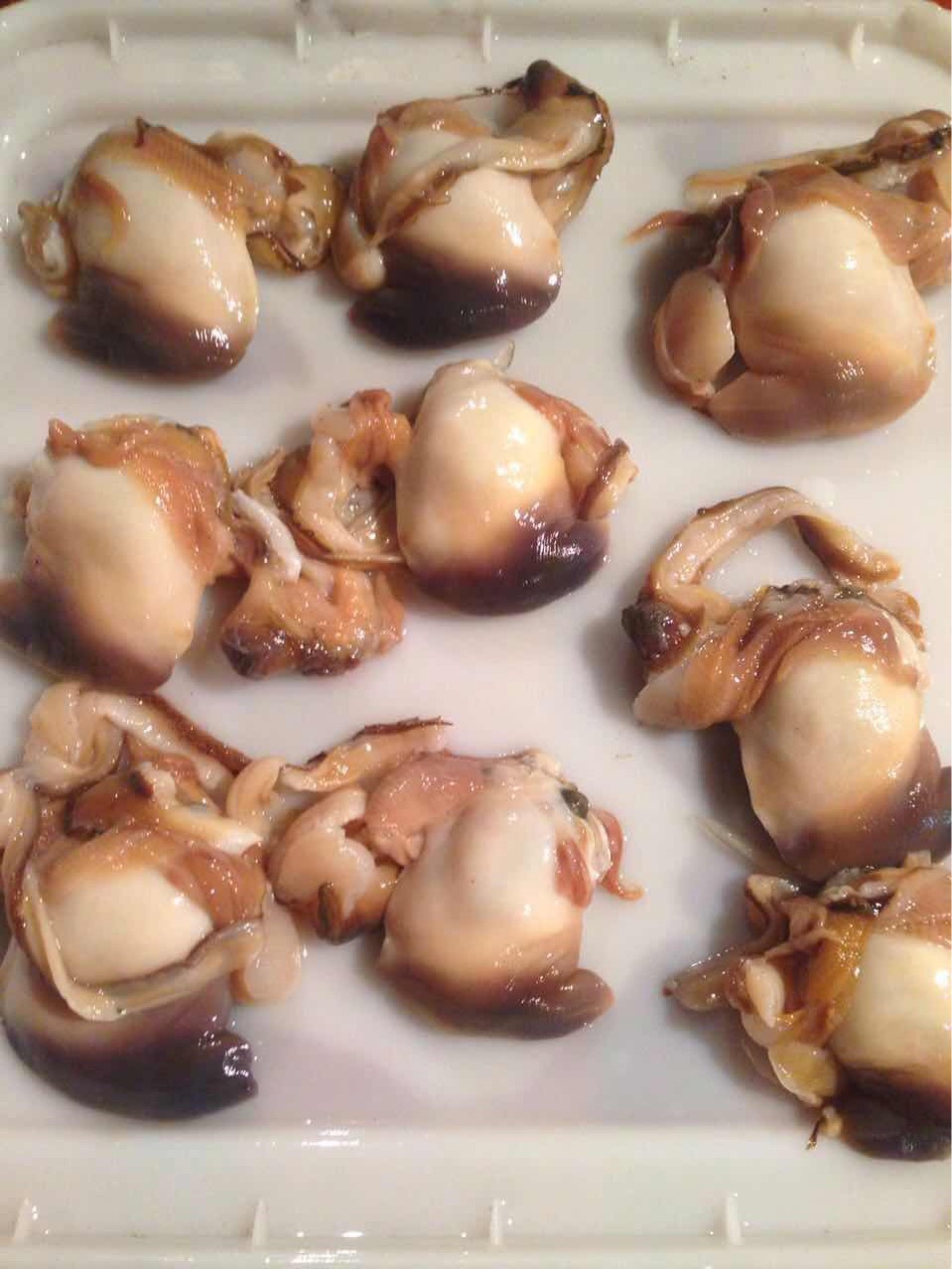 俄罗斯活北极贝冻北极贝原料北极贝肉原料