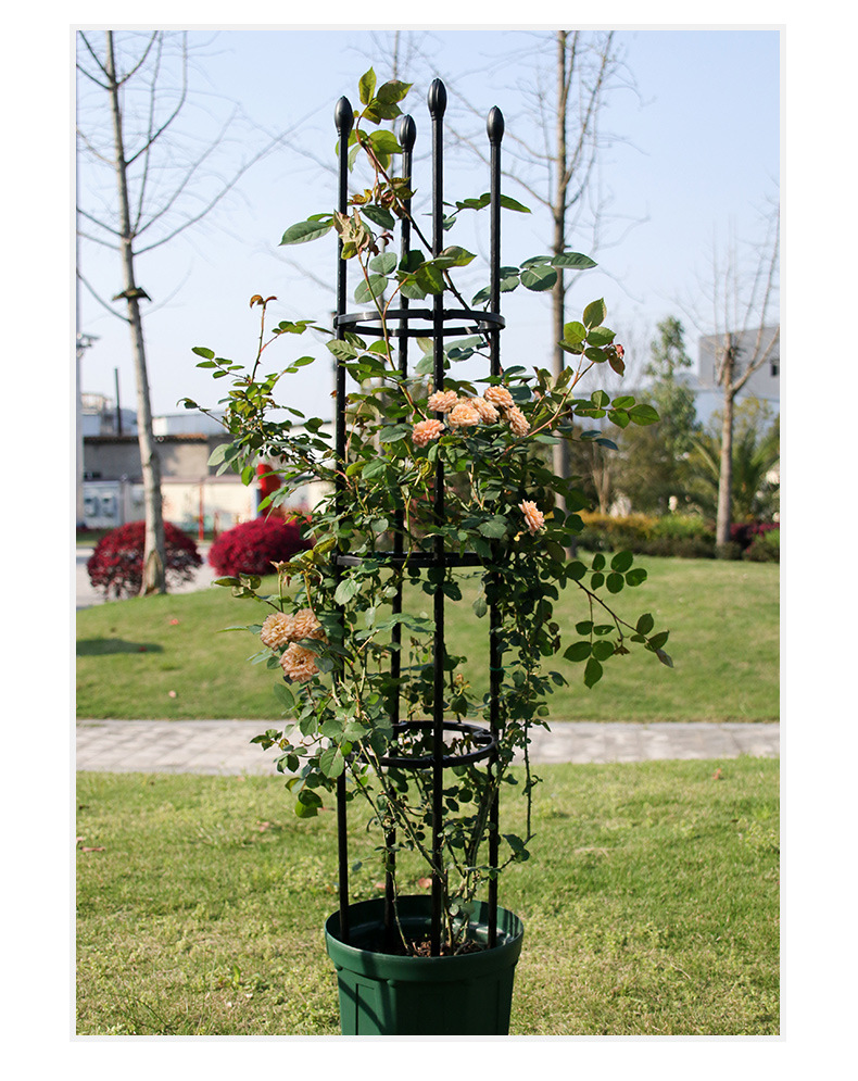 厂家直销爬藤架铁线莲月季植物攀爬花架花支柱玫瑰花支架园艺用品