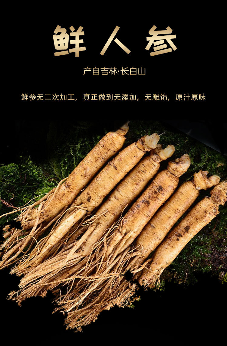 吉林东北特产新鲜人参带土人参单支规格齐全可煲汤泡酒鲜人参