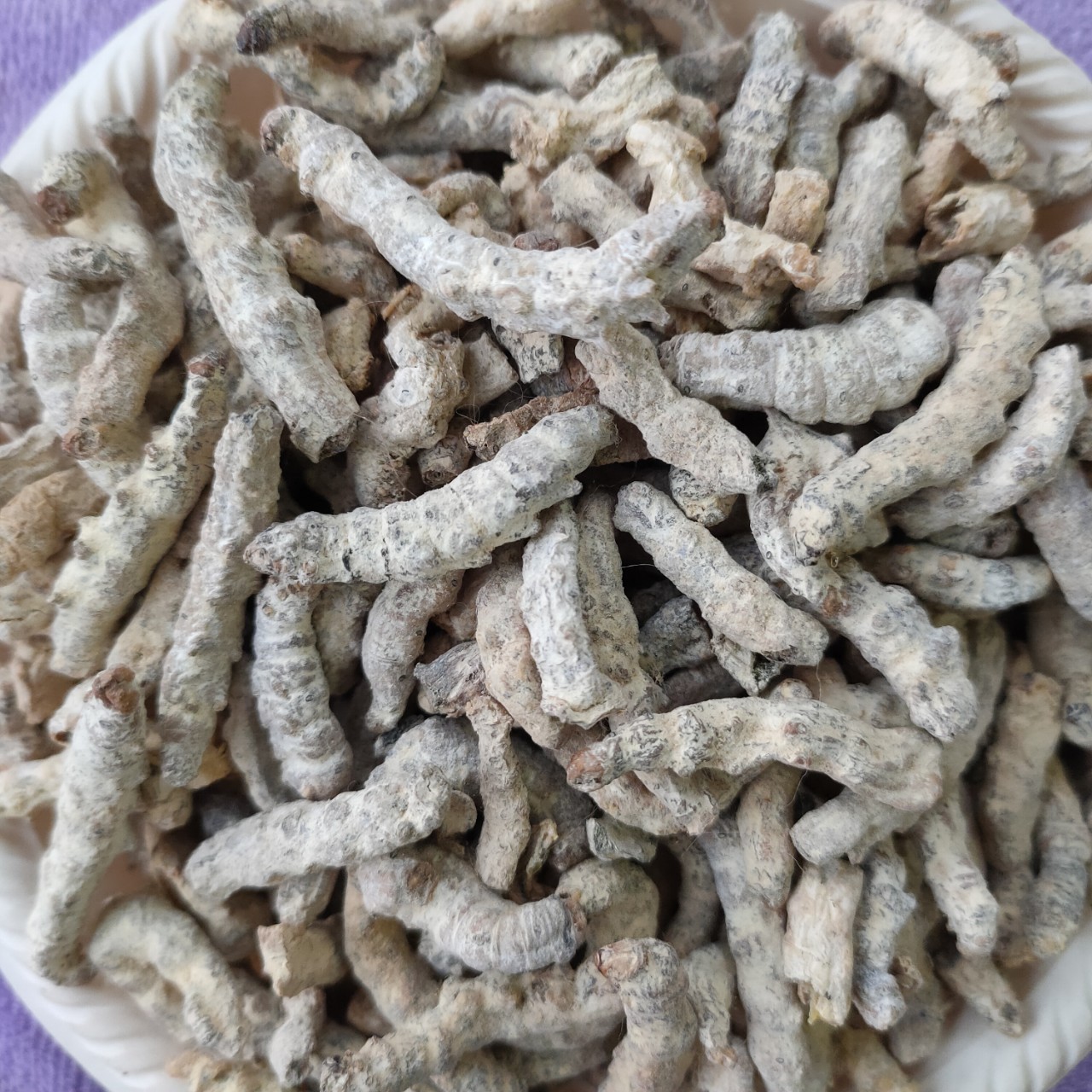 中药材批发僵蚕白僵蚕炒僵蚕僵虫承接订单量大从优支持批发大货