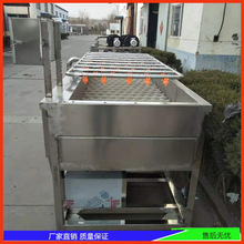 柑橘洗果机 厂家供应可定制 毛刷喷淋洗果机 不锈钢洗橙子机器