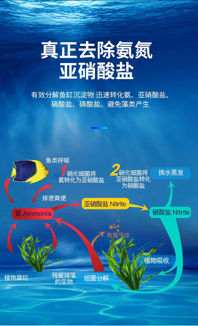 硝化细菌产品类别其他水族用品是否进口否产地中国商品属性付款成功后