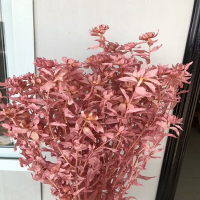 云南永生花橙菠萝花束创意手工干花真花菠萝蜜花束礼盒配花配草