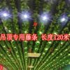 Flower vine Green leaf simulation Grape leaves Leaf Plastic Vine Houseplant Ceiling decoration Vines Green plant Flower vine Green leaf simulation Grape leaves Leaf Plastic Vine Houseplant Ceiling decoration Vines Green plant