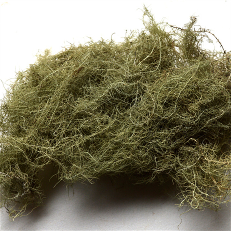 中药材 云雾草 冷背药材 品种齐全 量大从优 产地货源