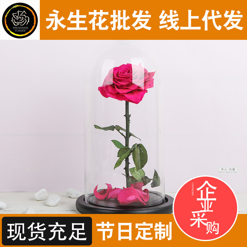 保鲜花 永生花 单支永生花礼品玫瑰花