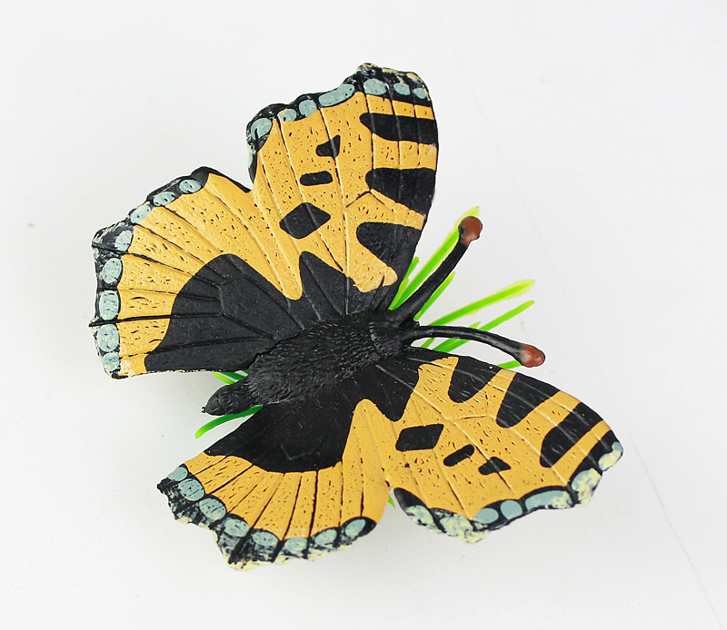 仿真昆虫模型蝴蝶七星瓢虫锹甲独角仙蜜蜂蝴蝶蚂蚱儿童玩具认知