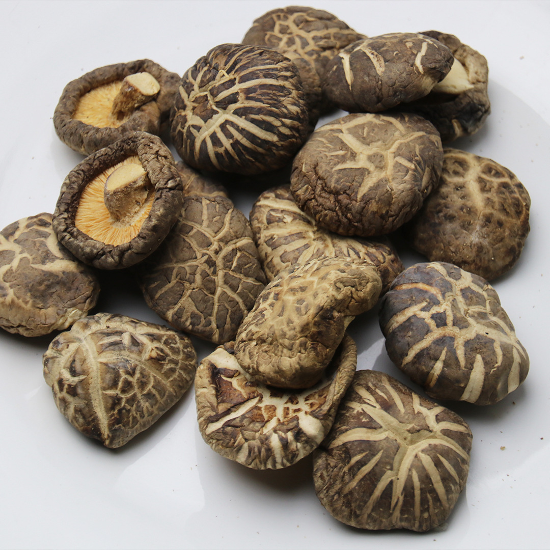 花菇福建古田香菇农家种植香菇干货无根干蘑菇冬菇肉厚