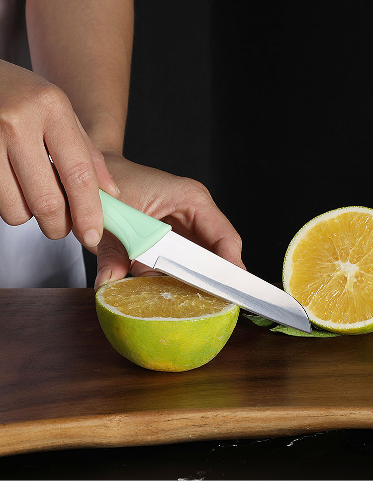 不锈钢带套水果刀厨房刀具北欧彩色削皮器家用小果皮刀子瓜果小刀