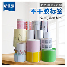 空白标签定制 卷筒不干胶标签印刷 logo商标pet防水贴纸标签定做