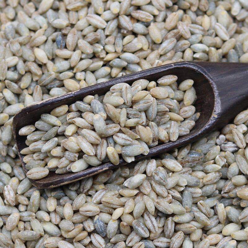 【黑青稞】-黑青稞厂家,品牌,图片,热帖-阿里巴巴