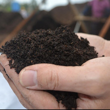 育苗用草炭土花卉营养土基质 蔬菜泥炭土栽培基质松针土