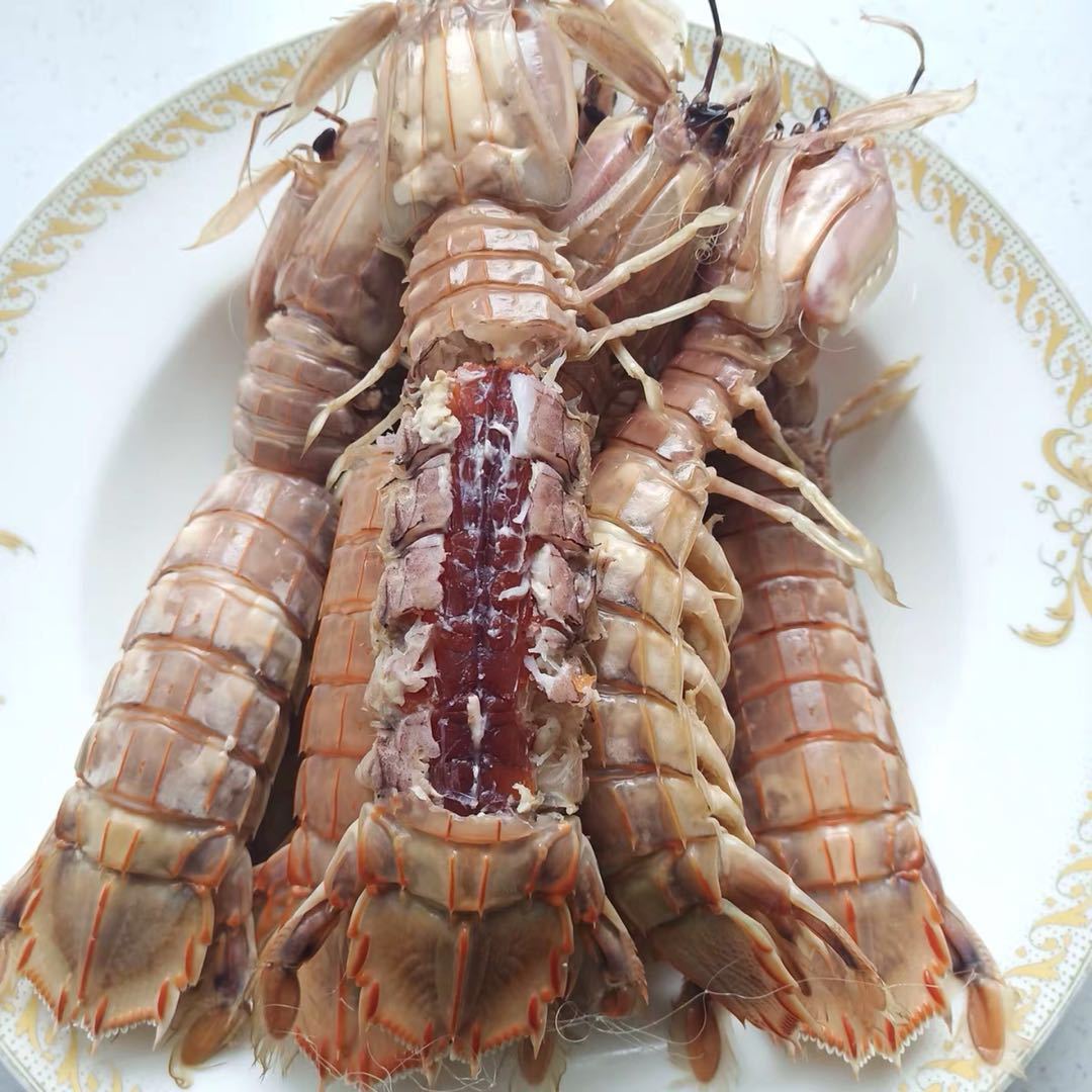 熟冻鲜活皮皮虾新鲜濑尿虾 鲜活海鲜 熟冻海鲜厂家直供价
