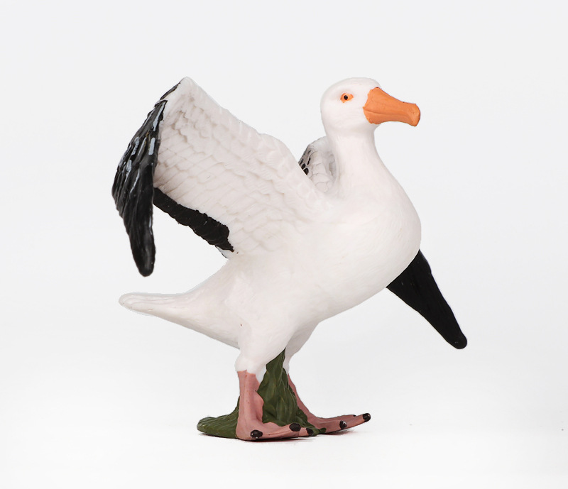 新品仿真动物模型 鸟类 信天翁大型海鸟塑料实心儿童认知科教摆件