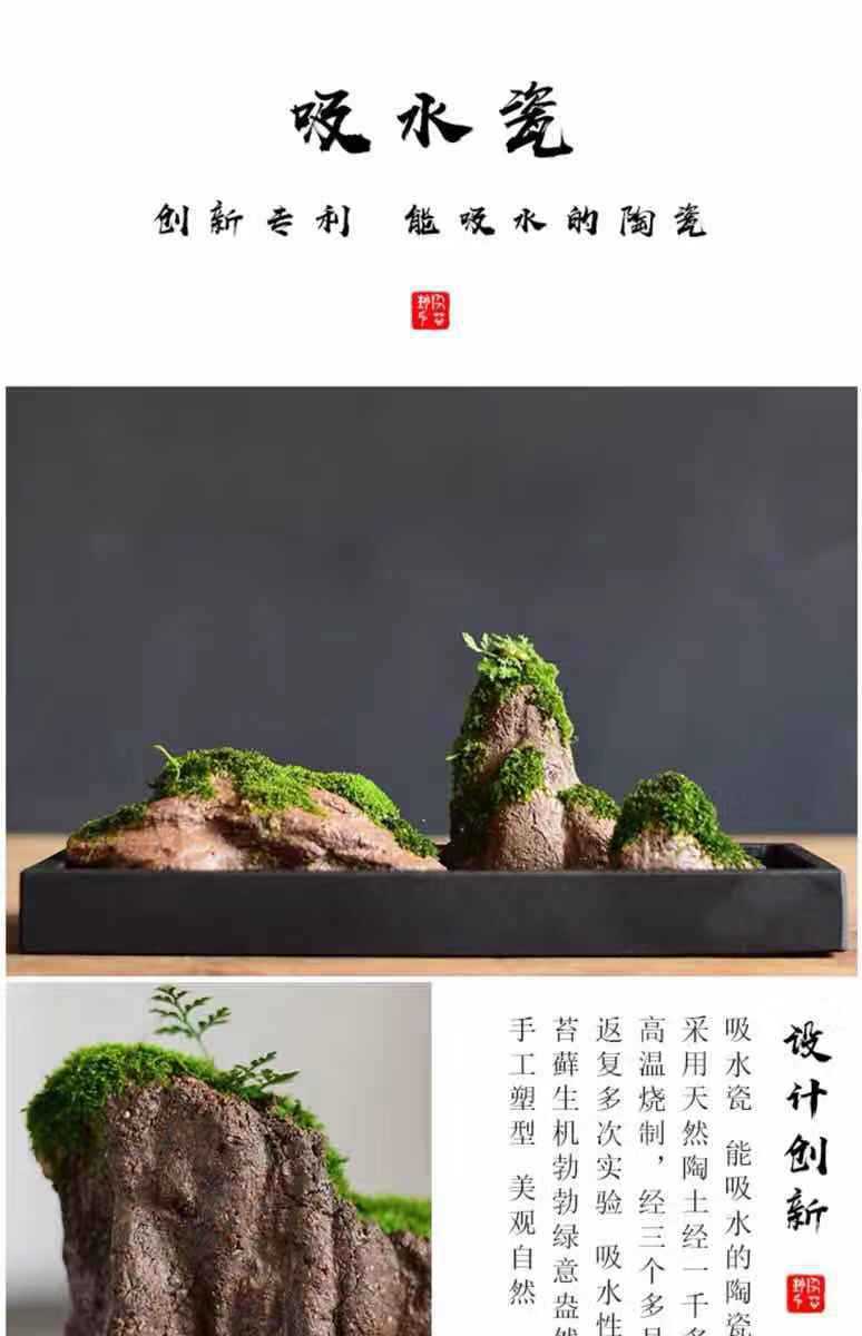 微景观苔藓盆栽粗陶假山吸水石盆景水培青苔造景桌面植物花盆摆件