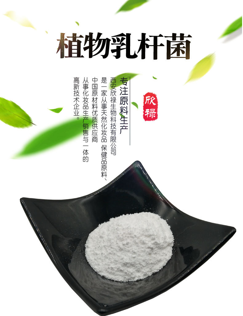 植物乳杆菌 乳酸菌 益生菌原料 发酵 厂销 冻干包被 食品原菌粉