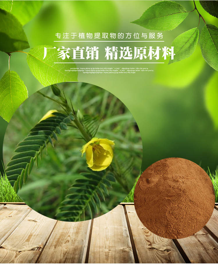 水皂角黄酮8% 16%,水皂角黄烷醇提取物