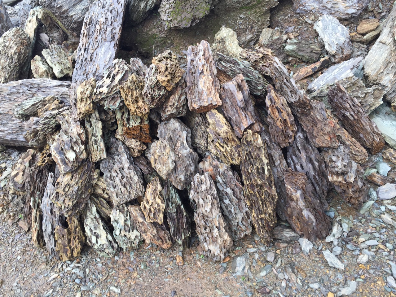 水族松皮石精品