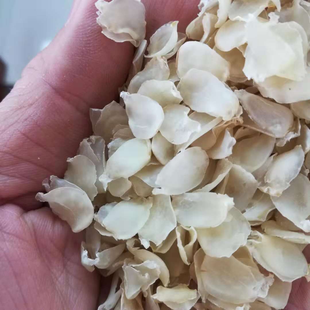 皂角米天然晒干梁河特级雪莲子 小单片皂角米一件代发 野生皂角米