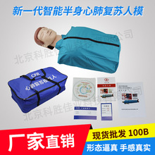 半身简易型心肺复苏模拟训练假人驾校设备触电急救模型仿真CPR100
