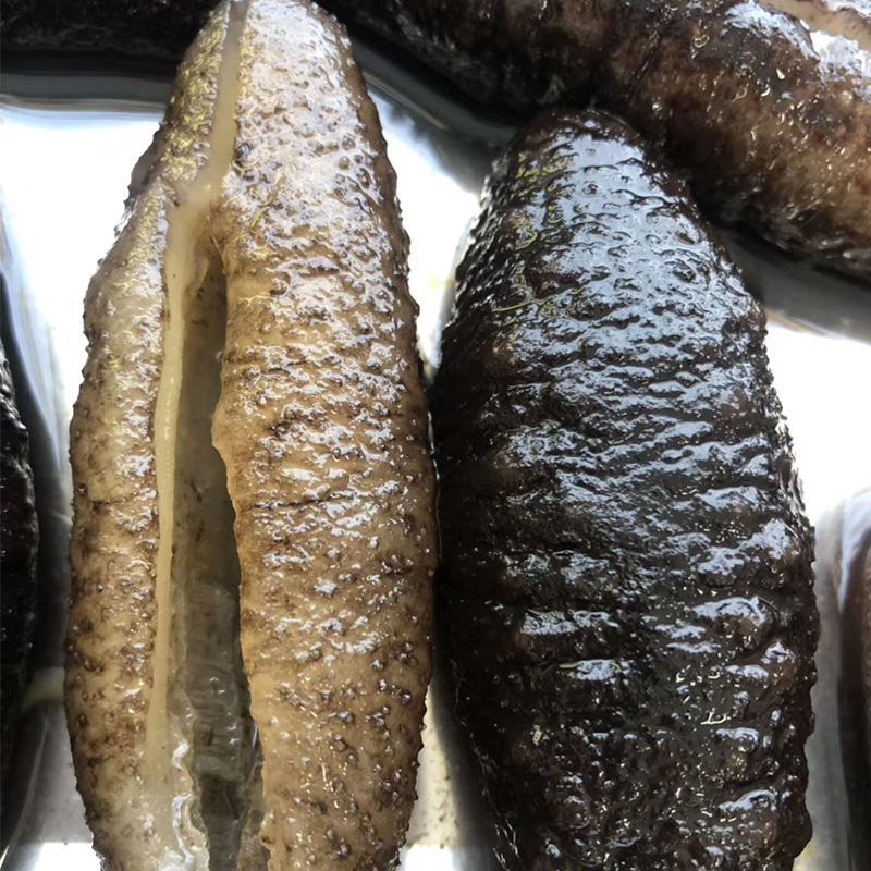 海鲜 冷冻 "土耳其海参"8/11头 佛跳墙爆炒水产食材发好500g/包 图片