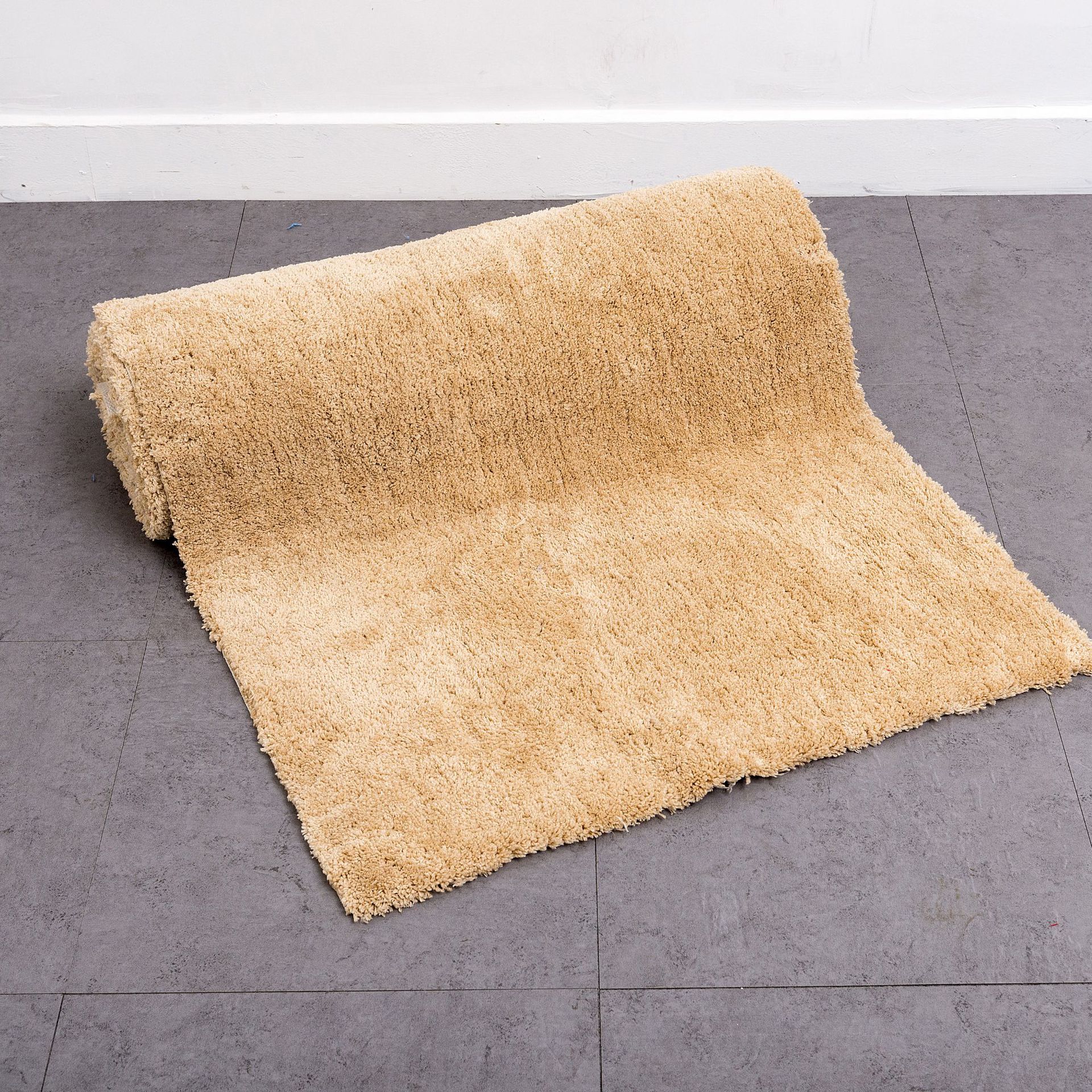 纯色门厅卧室地毯门店地毯入户家用卫生间吸水脚垫浴室防滑垫子