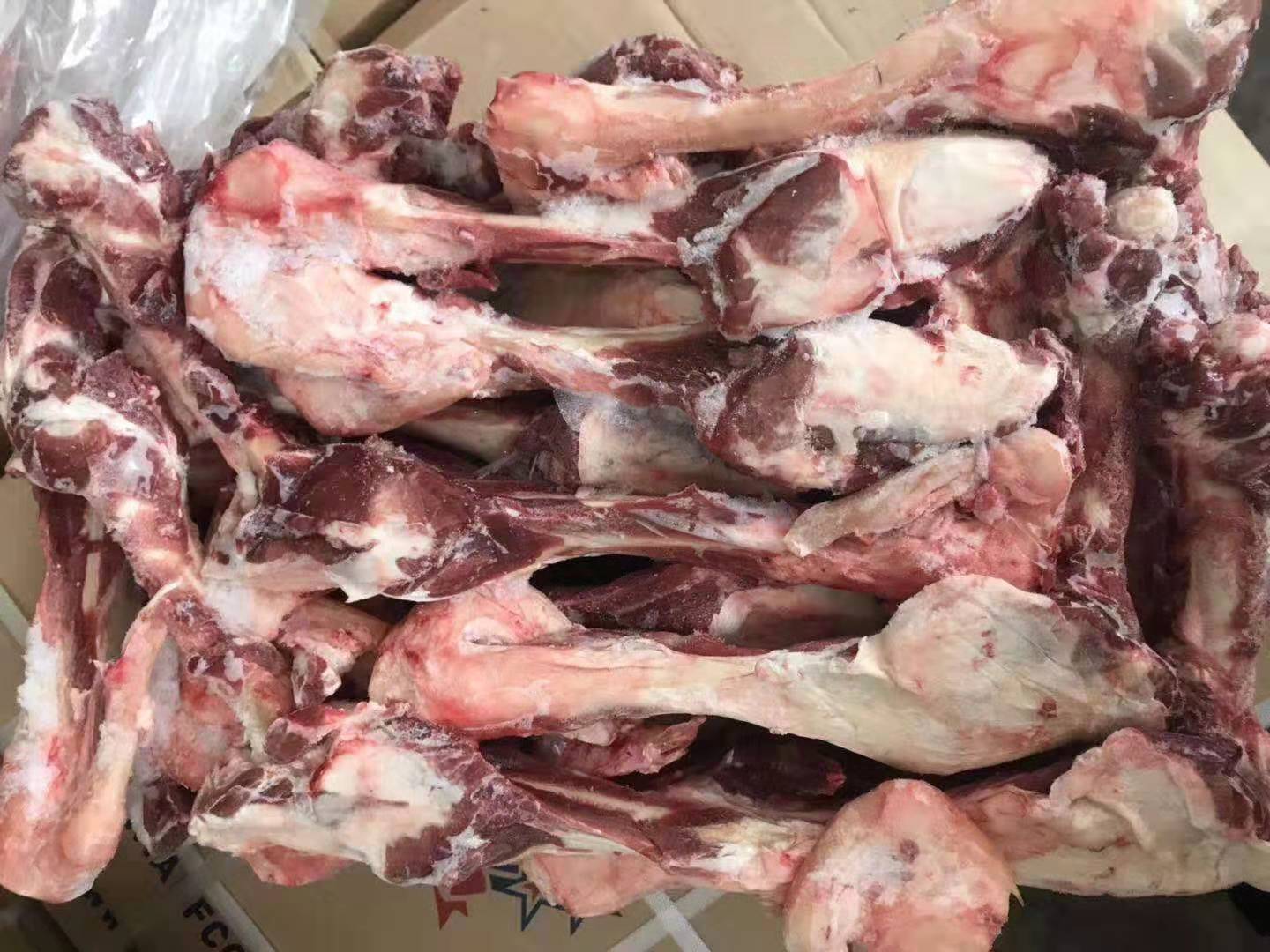 批发羊棒骨 羔羊多肉棒骨 大羊多肉棒骨 育肥羊棒骨 羊干棒骨