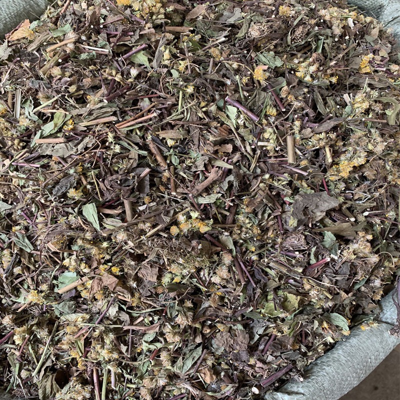 中药材一枝黄花一枝黄花蛇头王见血飞量大从优