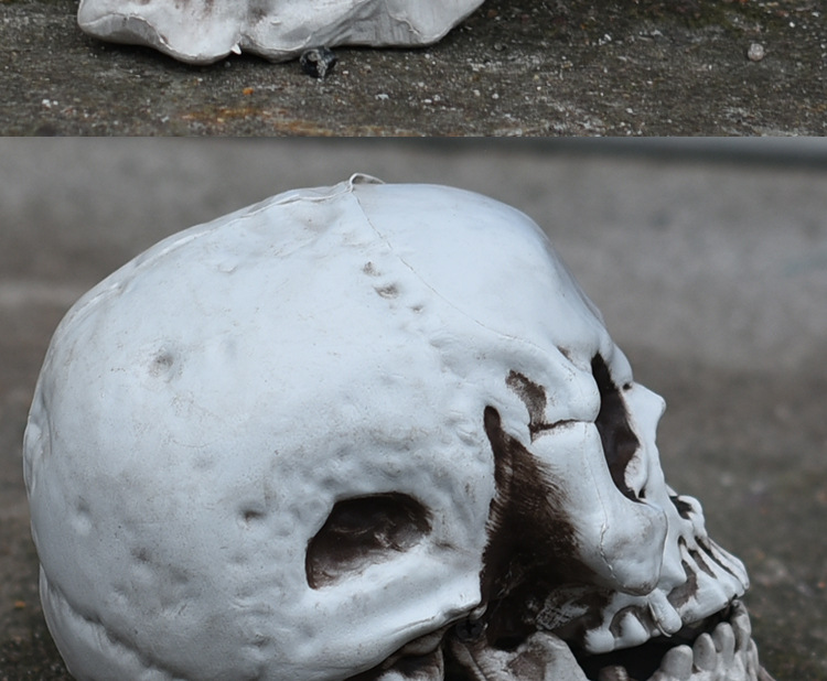 现货万圣节道具 酒吧鬼屋密室恐怖烂头鬼摆件骷髅头装饰 人骨模型