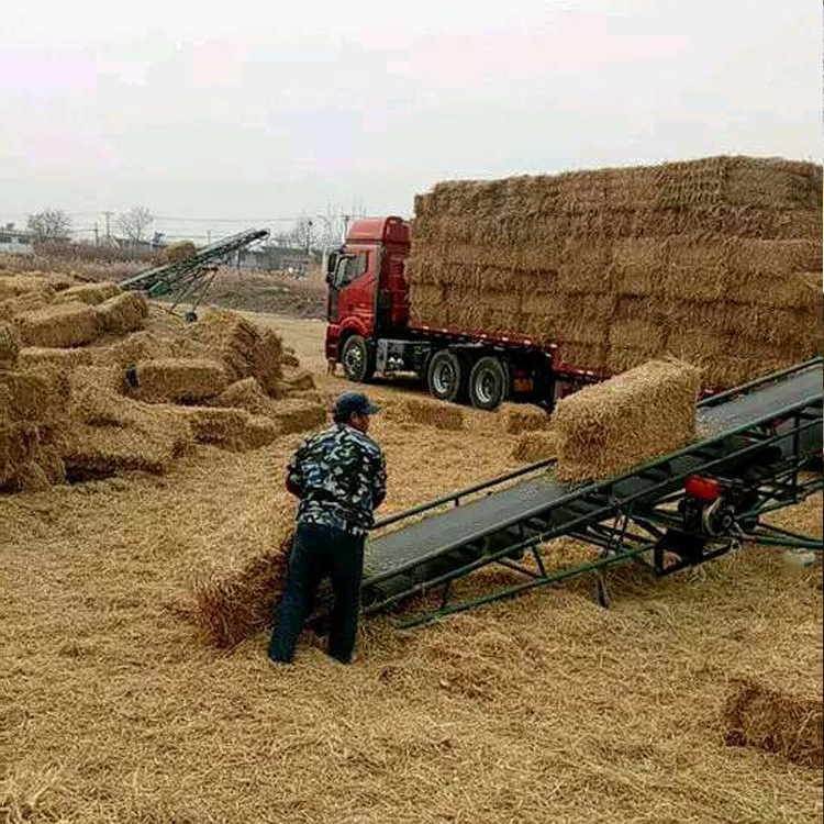 青贮饲料厂家牧草干稻草 牛羊养殖稻草 玉米秸秆干草饲料