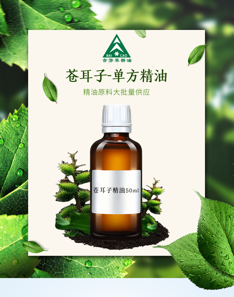 大量供应苍耳子精油 超临界co2精油 单方苍耳子油50ml试用装
