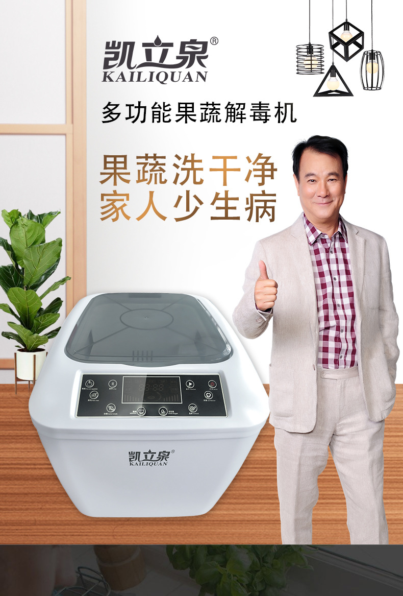 家用果蔬解毒机 多功能去农药臭氧净化机 果蔬肉类消毒机会销礼品