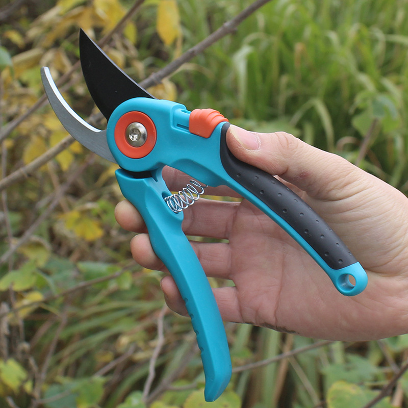 德奥sk5钢园艺剪刀修枝剪果树剪粗枝剪树枝剪果枝剪手动园林剪