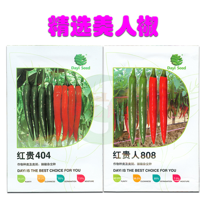 红贵人808辣椒种籽美人椒杭椒香辣大一杂交早熟高产原装蔬菜种子