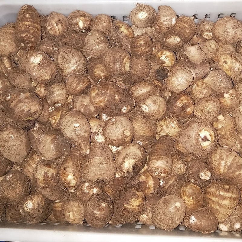 农产品 红薯 芋头 生姜 预售产地直销批发