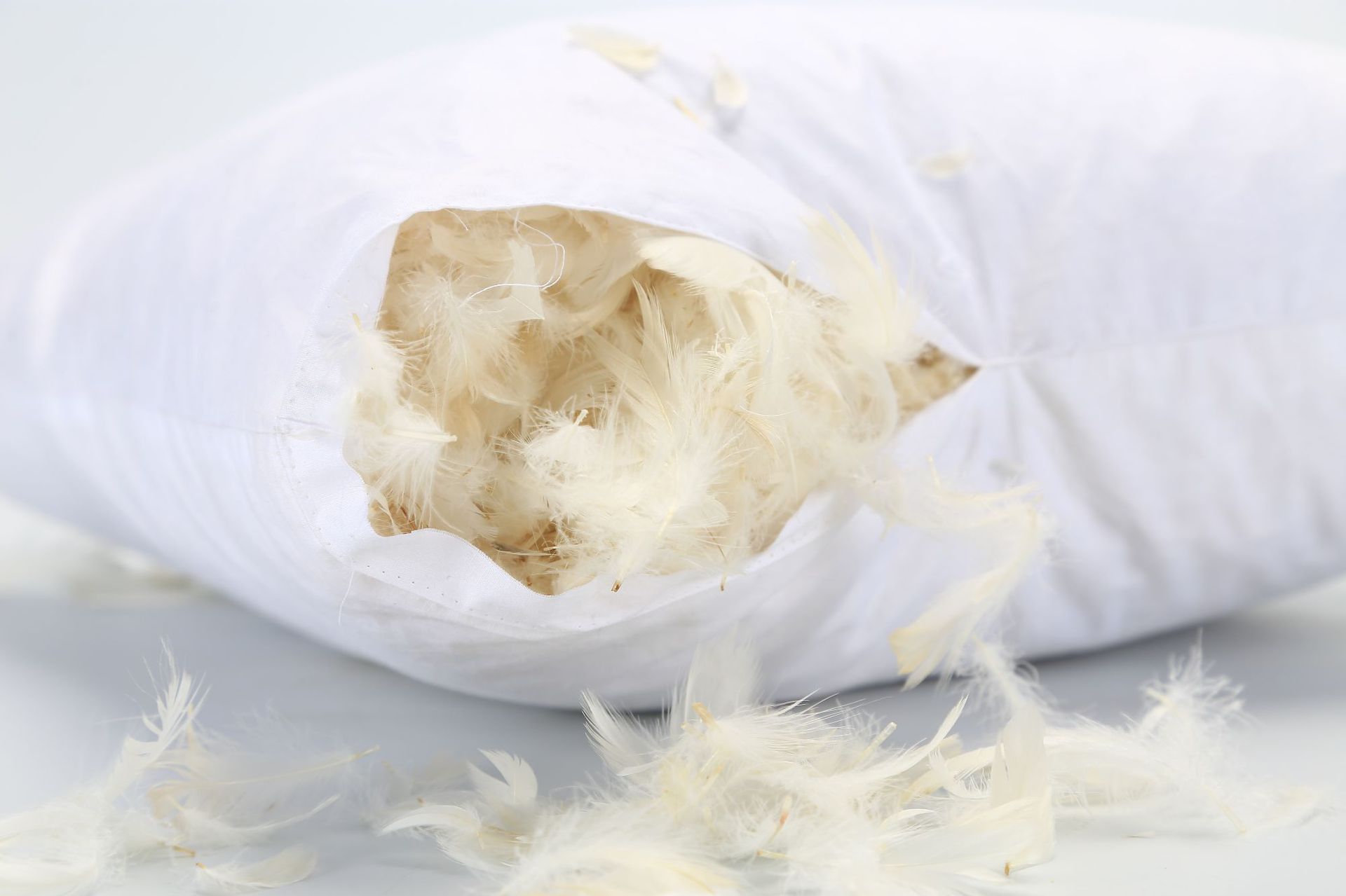 羽毛抱枕芯鸭毛靠垫feather cushion 45x45cm 50x50cm 尺寸定制