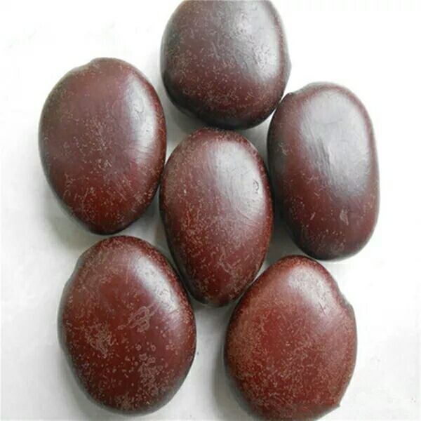 西藏大个阴阳子500克精选中药材木腰子榼藤子菩提子有双肾子