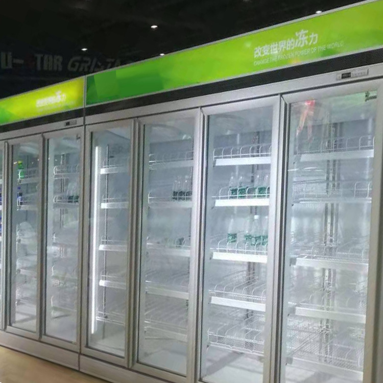 单门双门冷冻展示柜 商用冷冻食品冰柜 冰淇淋冷冻展示陈列柜