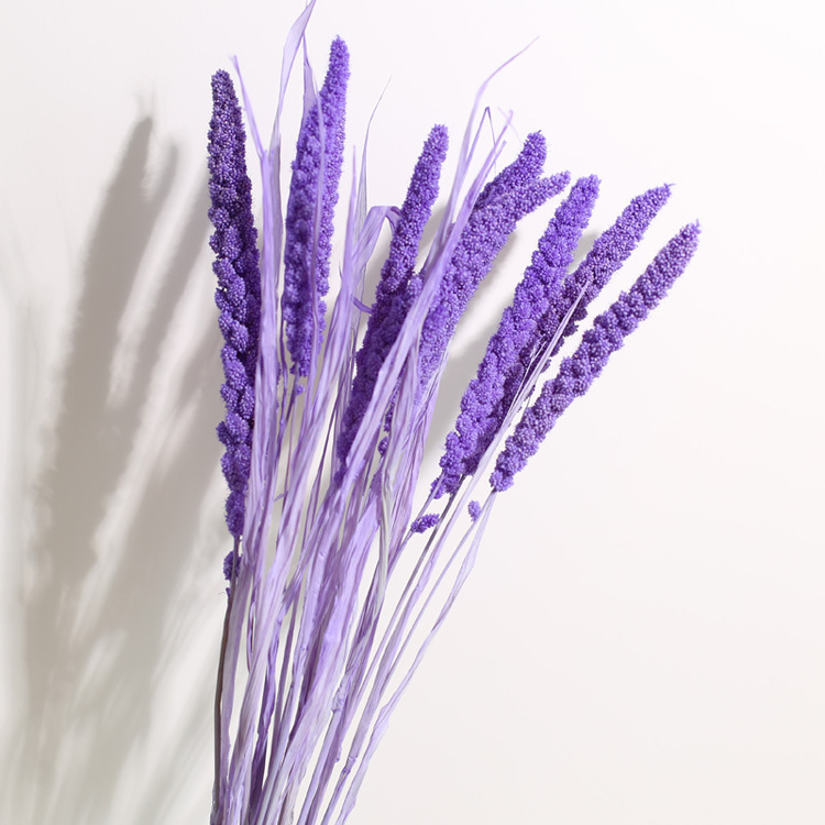 云南干花花束 小米穗谷穗田园文艺家居装饰拍摄道具 diy干花批发