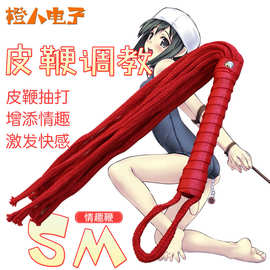 情趣小皮鞭子另类调情用品sm男女同调教激情器具成人情趣用品批发